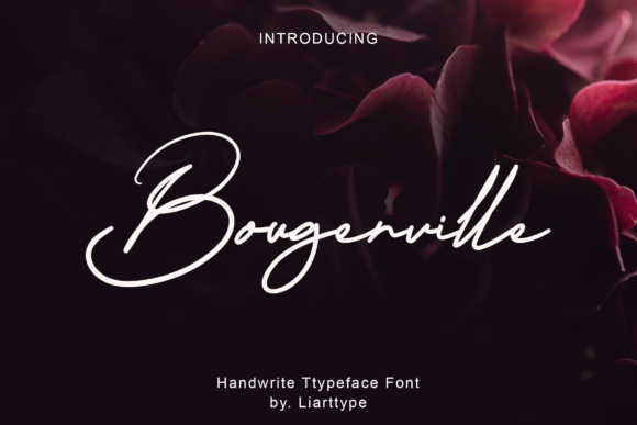 Bougenville: A Versatile Design Style for Every Occasion